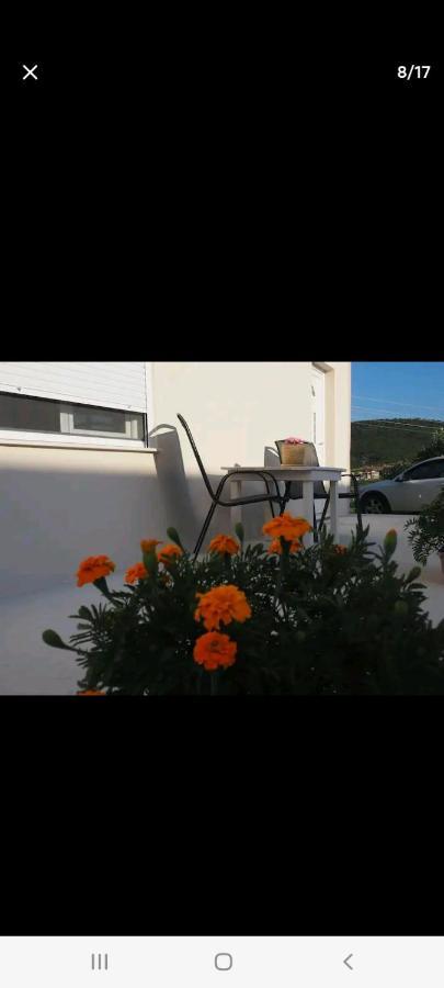 Apartments Dimitra Valanidorachi Εξωτερικό φωτογραφία